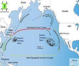 Fukushima:  The Biggest, Single Dumping of Trash Into Our Ocean -- MORE PLASTIC | OUR OCEANS NEED US | Scoop.it