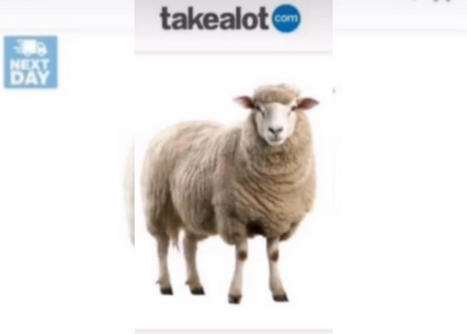 'Pulled the wool over your eyes': Takealot denies selling live sheep | consumer psychology | Scoop.it