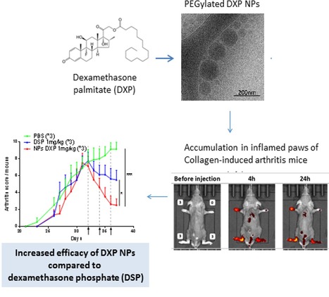 Des nanoprodrogues de glucocortico&iuml;des ciblant le tissu inflammatoire pour le traitement de l&rsquo;arthrite rhumato&iuml;de | Life Sciences Universit&eacute; Paris-Saclay | Scoop.it