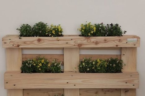 Orto sul balcone: come realizzare un angolo verde con i pallet | Orto, Giardino, Frutteto, Piante Innovative e Antiche Varietà | Scoop.it