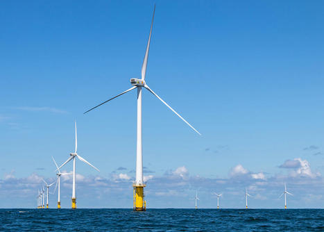 Énergies marines renouvelables : la Cour des comptes européennes invite à bien mesurer les dommages collatéraux | Biodiversité | Scoop.it