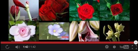 Patiently awaiting spring 2013 | Gardening Life | Scoop.it