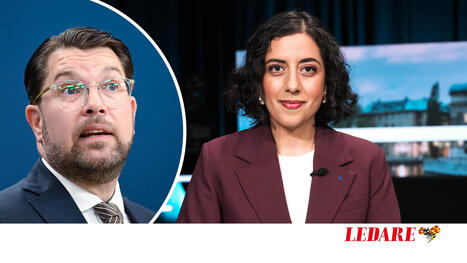Liberalernas velande om Sverigedemokraterna kan kosta dem riksdagsplatsen | 1Uutiset - Lukemisen tähden | Scoop.it