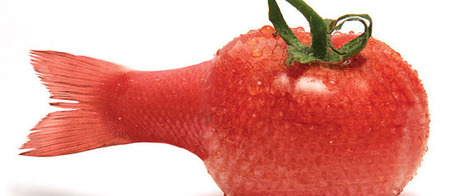 How GMO Foods Affect Health - Gene Altered Foods Now Large Part of American Diet | YOUR FOOD, YOUR ENVIRONMENT, YOUR HEALTH: #Biotech #GMOs #Pesticides #Chemicals #FactoryFarms #CAFOs #BigFood | Scoop.it