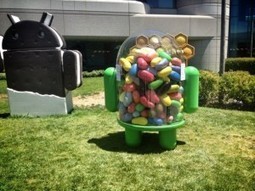 How To Update Samsung Galaxy Nexus With Android 4.1 Jelly Bean | Free Download Buzz | Softwares, Tools, Application | Scoop.it