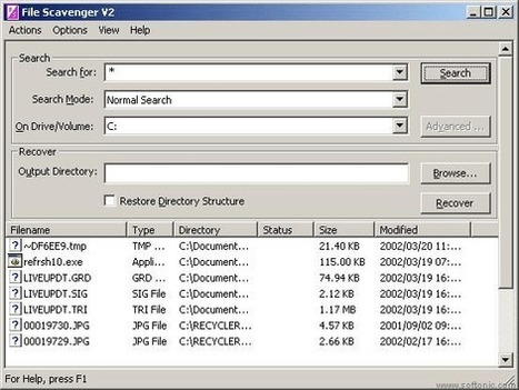 File scavenger 4.3 license key