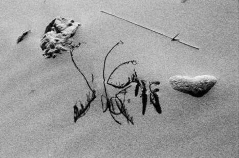La "Camargue secrète" de Lucien Clergue | Camargue Nature | Scoop.it