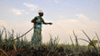 5 ways to tackle climate change and advance food security | Climate Change & DRR in East Africa | Scoop.it
