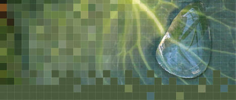 Masterclass: &ldquo;Seeing water clearly: Geospatial insights for agrifood water action&rsquo;&rsquo; | Thursday, 12 February &nbsp;|&nbsp;Terres et eaux&nbsp;|&nbsp;Organisation des Nations Unies pour l'alimentation et l'agriculture&nbsp;|... | T&eacute;l&eacute;d&eacute;tection veille IST INRAE & AgroParisTech | Scoop.it