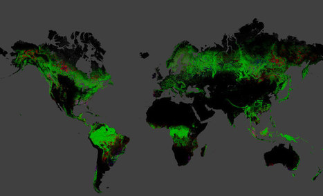 Google highlights global deforestation with interactive map | DesignBoom.com | @The Convergence of ICT, the Environment, Climate Change, EV and HEV Transportation & Distributed Renewable Energy | Scoop.it