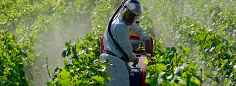 R&eacute;duire les pesticides : quelles cons&eacute;quences &eacute;conomiques pour les fili&egrave;res agro‑alimentaires ? INRAE | Biodiversit&eacute; | Scoop.it