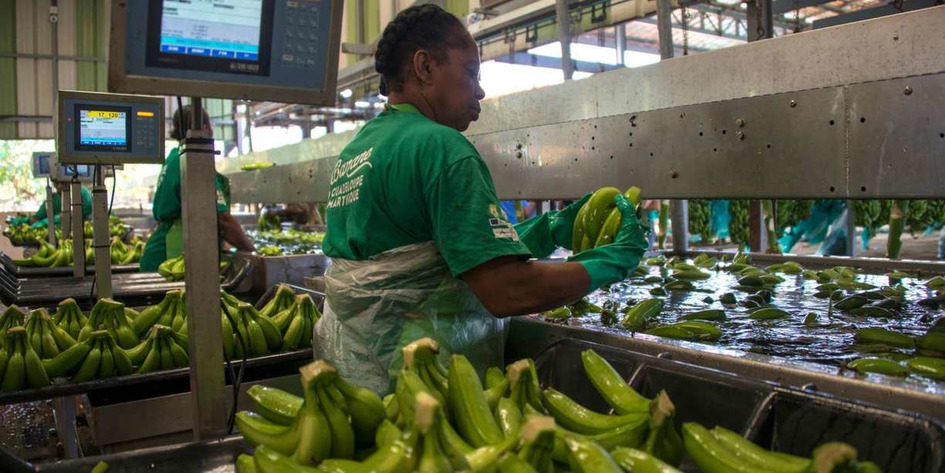 Non, les salari&eacute;s fran&ccedil;ais ne travaillent pas moins que leurs voisins | Une semaine d'actu - Newsletter de veille de l'AURH | Scoop.it