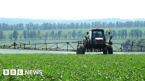 Soaring fertiliser prices force farmers to rethink | International Economics: IB Economics | Scoop.it