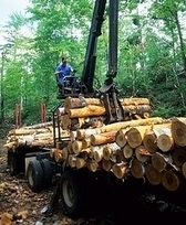 Potlatch Leaves Competition In The Dust With Robust Growth And Returns | Timberland Investment | Scoop.it