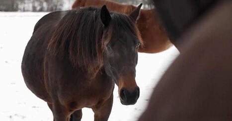 H&auml;r &auml;r branscherna i Sverige med b&auml;st &ndash; och s&auml;mst l&ouml;nsamhet | 1Uutiset - Lukemisen t&auml;hden | Scoop.it