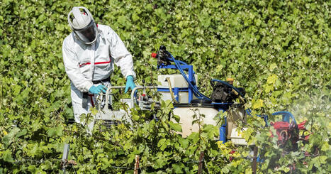 Polluants dans nos assiettes : "Parmi 10 000 Pfas, seuls quatre sont vraiment &eacute;tudi&eacute;s" &ndash; | Plan&egrave;te DDurable | Scoop.it