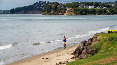 Climat : la montée des eaux en Nouvelle-Zélande est plus rapide qu'attendu | Biodiversité | Scoop.it