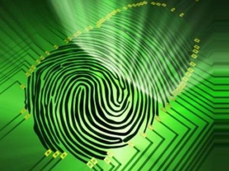 Mobile biometrics gaining traction, 'common' by 2015 - ZDNet | Iris Scans and Biometrics | Scoop.it