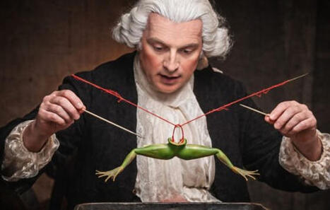 &iquest;Qu&eacute; tienen que ver las ranas y las bater&iacute;as actuales? | Ciencia-F&iacute;sica | Scoop.it