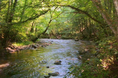 Polluants éternels : 100 % des eaux mesurées en France au-dessus des seuils | Toxique, soyons vigilant ! | Scoop.it