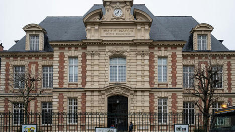 Covid-19 : ce qu'il faut retenir des derni&egrave;res mod&eacute;lisations rassurantes de l'Institut Pasteur | Crise sanitaire | Scoop.it