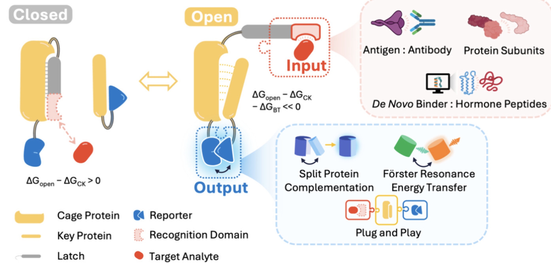 Modular Input–Output Biosensor Design Usi...