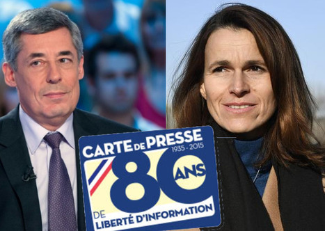 Henri Guaino et Aur&eacute;lie Filippetti pourront-ils avoir une carte de presse? | DocPresse ESJ Lille | Scoop.it