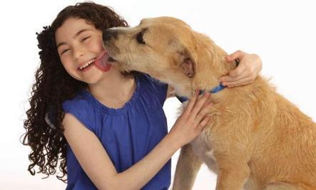 From Animal Shelter Stray to Broadway Star | The EcoPlum Daily | Scoop.it