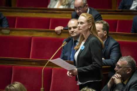 Statut de l'élu : "Il faut agir car on a de plus en plus de mal à trouver des candidats" | Veille juridique du CDG13 | Scoop.it
