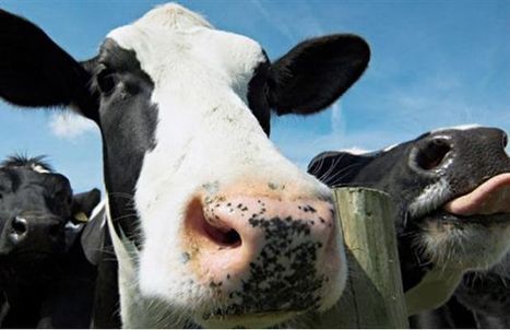 Canada : Une nouvelle étape pour le développement durable des fermes laitières | Lait de Normandie... et d'ailleurs | Scoop.it