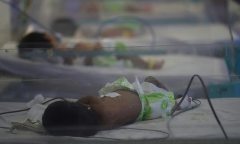 India moves to ban booming commercial surrogacy business | Bioéthique & Procréation | Scoop.it
