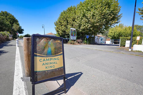 Charente-Maritime&nbsp;: la justice vient de confirmer la conformit&eacute; de l&rsquo;arr&ecirc;t&eacute; de fermeture du camping Animal King situ&eacute; &agrave; Esnandes | Les evolutions de l'offre touristique | Scoop.it