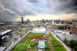 [Article] Les fermes verticales : développement et implication de la ville verticale | ESPACES VEGETALISES URBAINS | Scoop.it