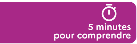 ✨Docs&nbsp;| "5 minutes pour comprendre" en intelligences artificielles | GRIEPS | Scoop.it