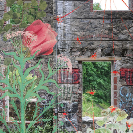 These Gardens Have Survived Everything from Neglect to Nuclear Waste. Each Inspires Artist Precious Okoyomon. | Industry 411 - Waste Management | Scoop.it