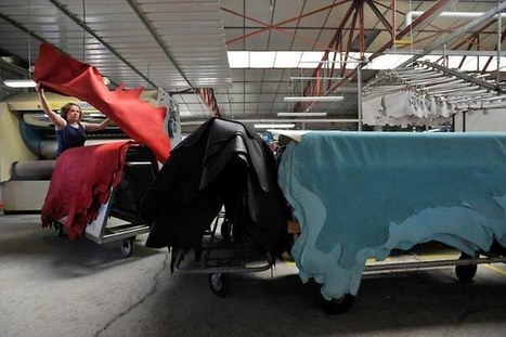 Les tanneurs sous pression face à l'envolée du prix des peaux | L'actualité de la filière cuir | Scoop.it