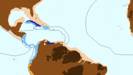 Comment il y a 45 millions d'années un pont terrestre avec l'Amérique du sud a façonné la biodiversité des Antilles | Écosystèmes Tropicaux | Scoop.it