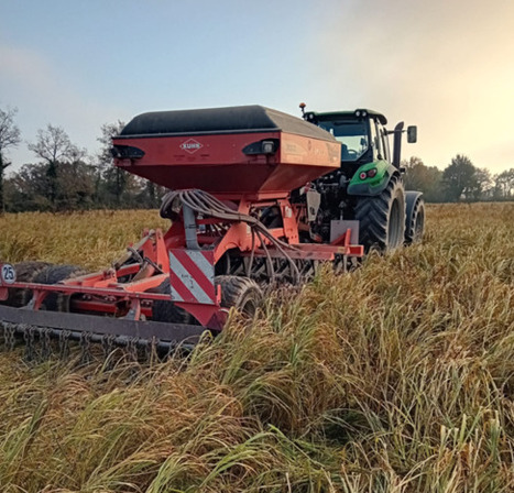 La ferme des Établières (85) en transition vers l’ACS - Agri85 | Agriculture en Pays de la Loire | Scoop.it