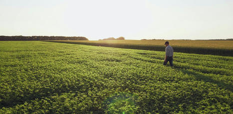 Agriculture : passer d’une durabilité faible à une durabilité forte | TRANSITION AGROECOLOGIQUE : PRATIQUES ET POLITIQUES AGRICOLES | Scoop.it