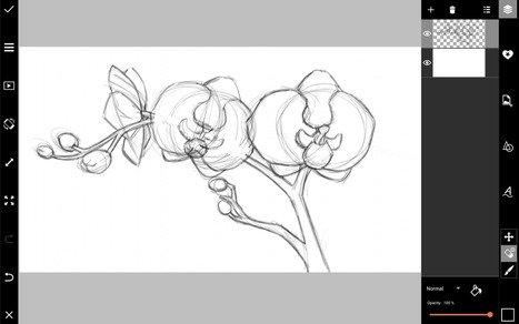 How to Draw Orchids with PicsArt | Drawing and Painting Tutorials | Scoop.it
