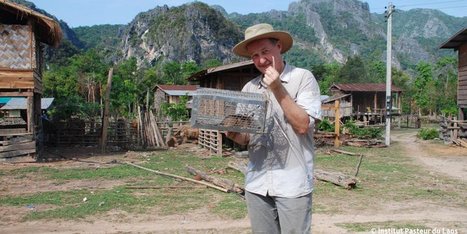 Serge Morand, nommé membre du panel d’experts de haut niveau « Une seule santé » | Cirad | EntomoScience | Scoop.it