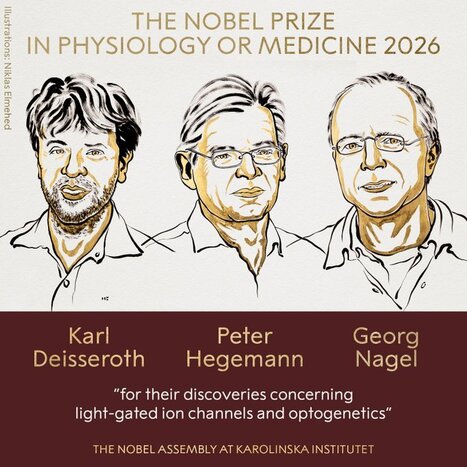 Le prix Nobel de m&eacute;decine 2026 d&eacute;cern&eacute; aux chercheurs Karl Deisseroth, Peter Hegemann et Georg Nagel, pour avoir pos&eacute; "les fondements d'une nouvelle &egrave;re en neurosciences" | Life Sciences Universit&eacute; Paris-Saclay | Scoop.it