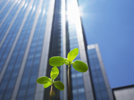 Engagement des industries alimentaires en matière de RSE | ITERG Environnement et Eco-industries | Scoop.it