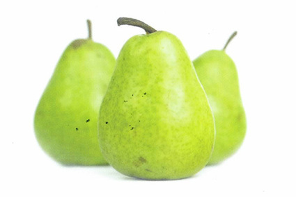 Mangeons local et de saison (mon panier de septembre) ! | Economie Responsable et Consommation Collaborative | Scoop.it