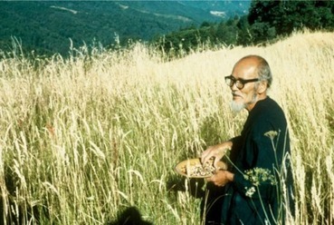La révolution d´un brin de paille. | La Sagesse de la Nature | Scoop.it