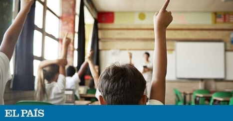 https://www.bez.eUtilizamos solo el 10% del cerebro y otras falsas creencias en educación | Economía | Educación, TIC y ecología | Scoop.it