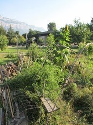 Un jardin collectif en danger sur le campus de Grenoble‏ | Les Colocs du jardin | Scoop.it