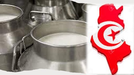 Tunisie - Stock de lait : un déficit de 10,2 millions de litres cette saison | Lait de Normandie... et d'ailleurs | Scoop.it