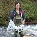 Water conditions affected by insect extinction | Soggy Science | Scoop.it