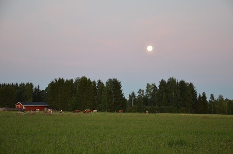 Eino Leinon Nocturne-runon taustoja – Suomalaisen suviyön tuntojen tulkki | 1Uutiset - Lukemisen tähden | Scoop.it